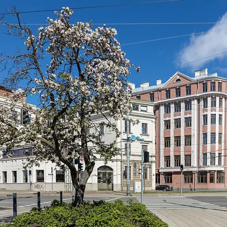 Compact & Old Town *